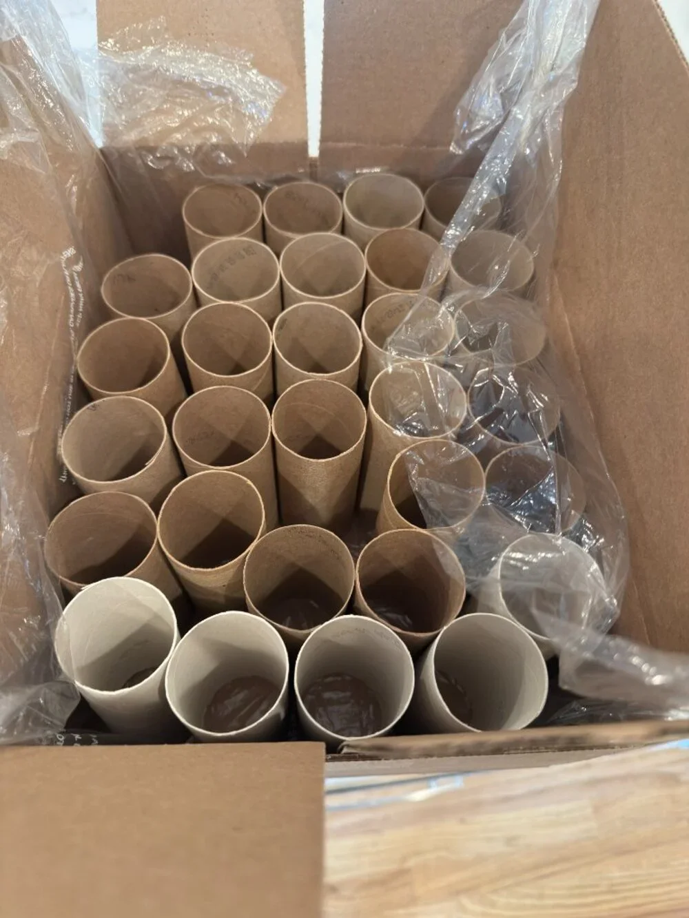 30 Empty Toilet Paper Rolls Cardboard Tubes Craft Art Project School Camp Kids